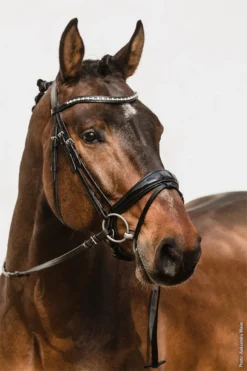 Schockemohle Brantford Anatomical Bridle Black-Patent-Silver