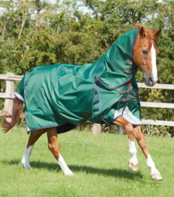 Premier Equine Akoni 0g Turnout With Classic Neck Cover Green