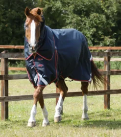 Premier Equine Buster 50g Turnout Rug With Snug-Fit Neck Cover Navy