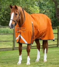 Premier Equine Buster Hardy 400g Half Neck Turnout Rug Burnt Orange