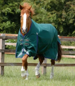 Premier Equine Buster Zero Original Turnout Rug Green