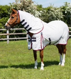 Premier Equine Combo Cotton Sheet Red Check