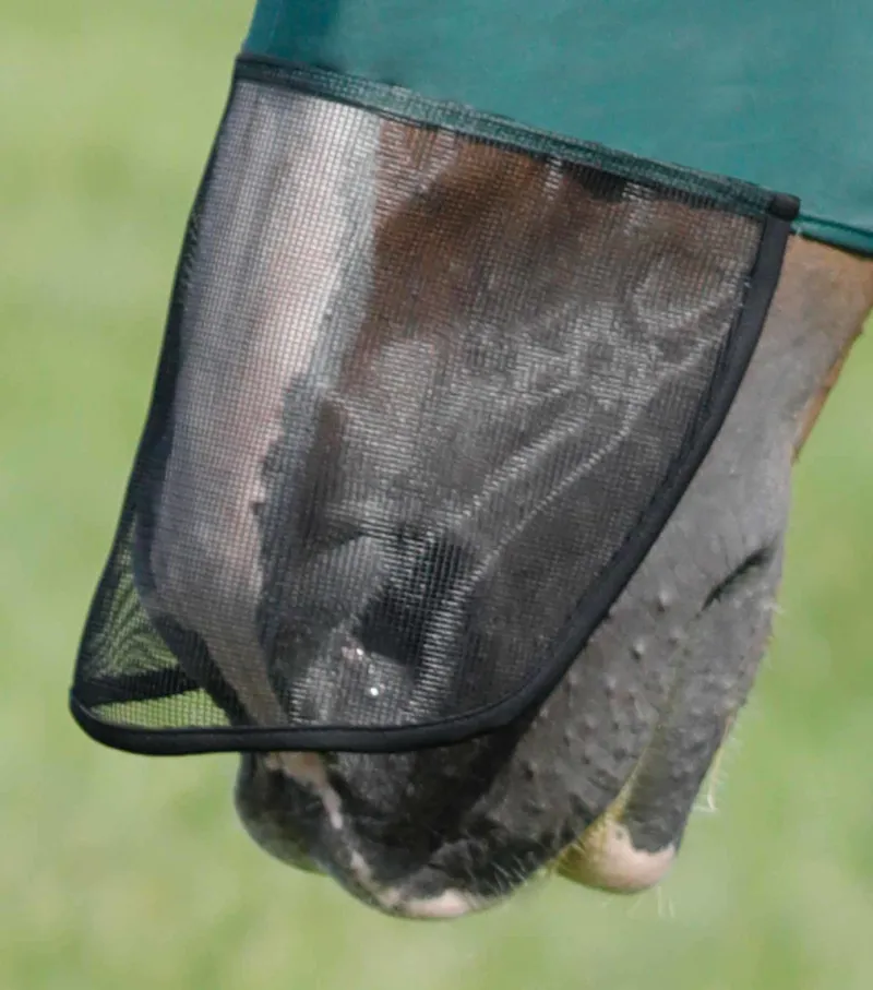 Premier Equine Comfort Tech Xtra Lycra Fly Mask Green - Image 6