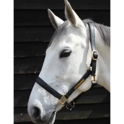 JHL Leather Headcollar In Black