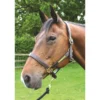 JHL Leather Headcollar In Brown