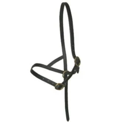 JHL Small Foal Slip In Black