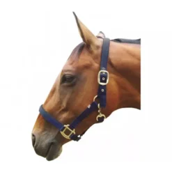 JHL Padded Headcollar In Navy