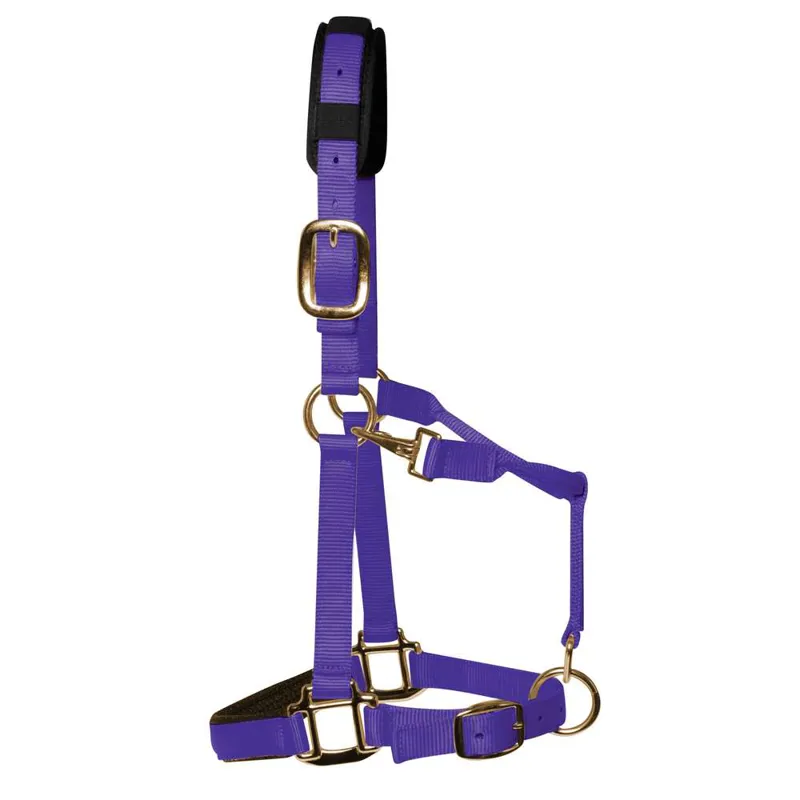 KM Elite Padded Headcollar In Purple