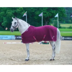 Mark Todd Coolex Cooler Rug In Burgundy/White