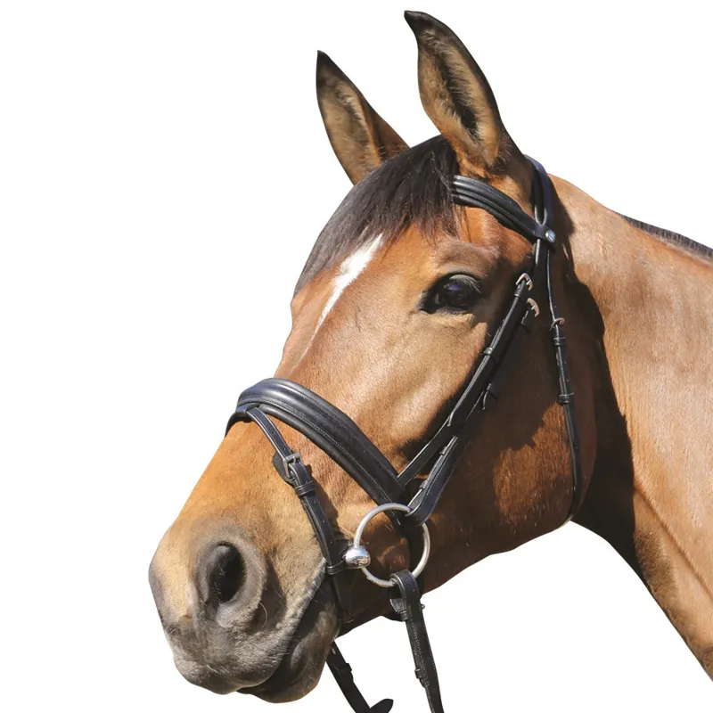Mark Todd Padded Flash Bridle In Black
