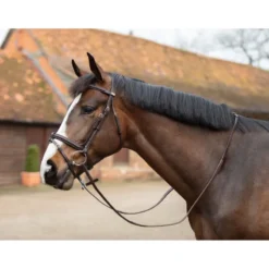 Mark Todd Performance Flash Bridle W/Brass Fittings In Havana