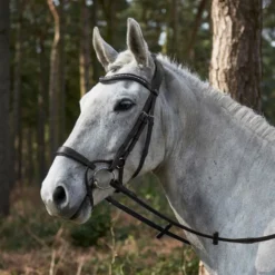GFS Harmony Bridle With Rubber Grip Reins - Black
