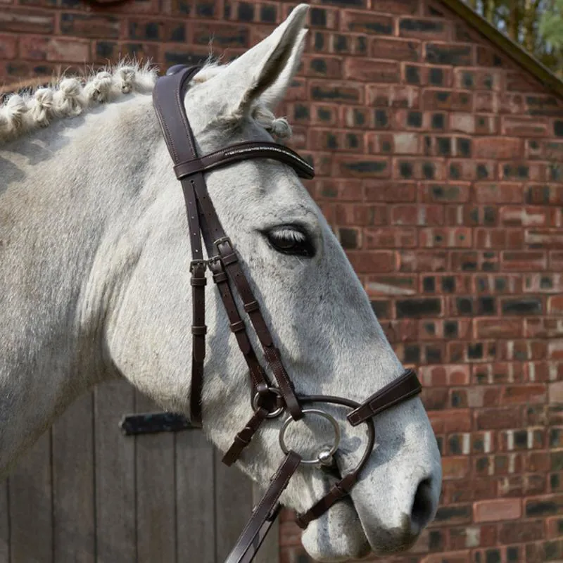 GFS Harmony Bridle With Rubber Grip Reins - Brown