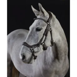 GFS Premier Prosperity Bridle - Black