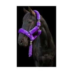 Cameo Deluxe Headcollar - Purple