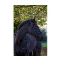 EcoRider Ecosoft Luxe Bridle - Brown