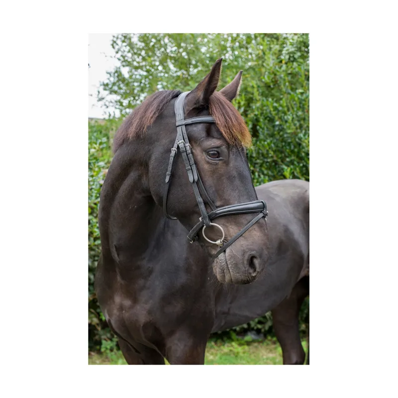 EcoRider Ecosoft Luxe Bridle - Brown - Image 3
