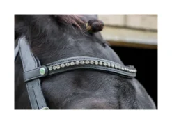 EcoRider Freedom Browband - Brown