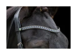 EcoRider Freedom Sapphire Browband - Brown