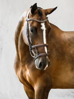 PS Of Sweden Paris Limited Edition Bridle Brown