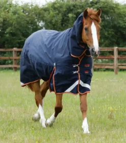 Premier Equine Titan Storm 450g Combo Turnout Rug With Snug-Fit Neck Navy