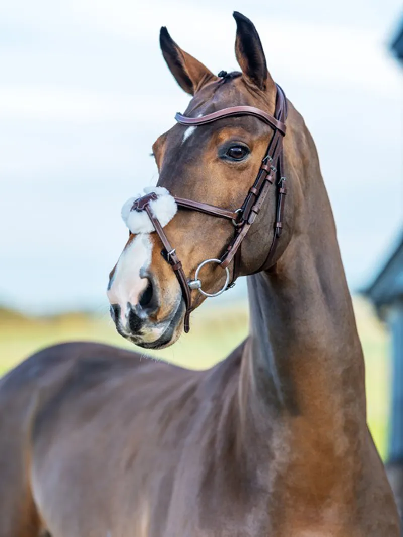 LeMieux Arika Grackle Bridle Havana-Silver - Image 2