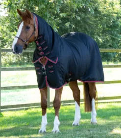Premier Equine Combo Buster Waffle Horse Cooler Rug Black