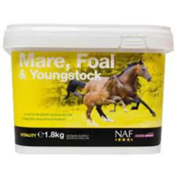NAF Mare Foal And Youngstock